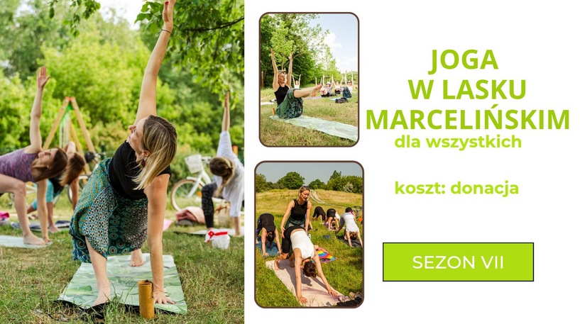 Trzy obrazki przedstawiające grupę osób ćwiczących jogę w różnych pozach, na matach, na trawie. Szczegółowe informacje na temat wydarzenia zawarte w treści artykułu.