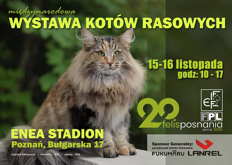 Na środku plakatu zdjęcie kota na rozmytym, zielonym tle. Na froncie logo organizacji felis posnania oraz informacje na temat wydarzenia zawarte w treści artykułu.