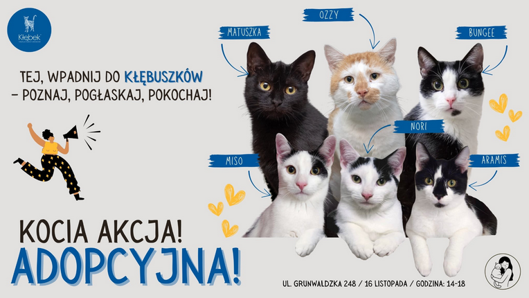 Z prawej strony plakatu zdjęcia 6 kotów na szarym tle z podpisanymi imionami w niebieskich prostokątach. Z lewej strony nazwa wydarzenia oraz grafika przedstawiająca kobietę z megafonem. U góry logo Fundacji Kłębek i hasło "Tej, wpadnij do Kłębuszków - poznaj, pogłaskaj, pokochaj". W prawym dolnym rogu data, godzina i miejsce wydarzenia. Informacje zawarte w treści artykułu."