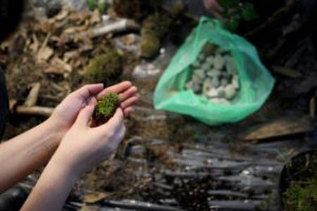 poszukiwanie kamieni i mchu