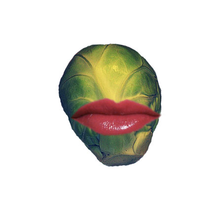 Praca Jakuba Paprockiego: Brukselka