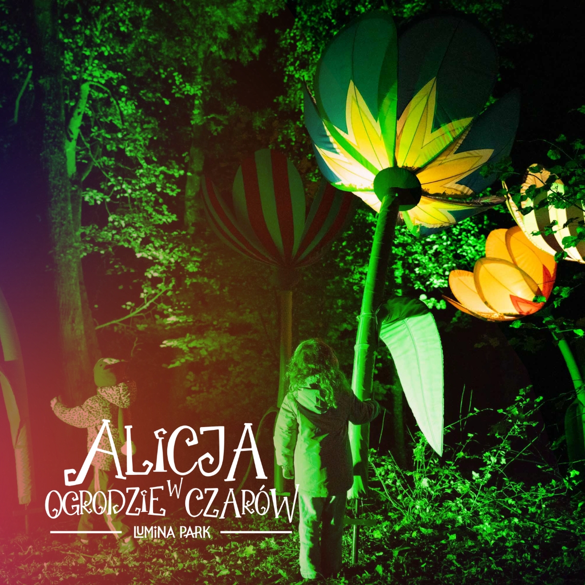 Zdjęcie zrobione nocą w parku, w którym podświetlono rosliny tworząc magiczny nastrój. Z boku napis Alicja w ogrodzie czarów.