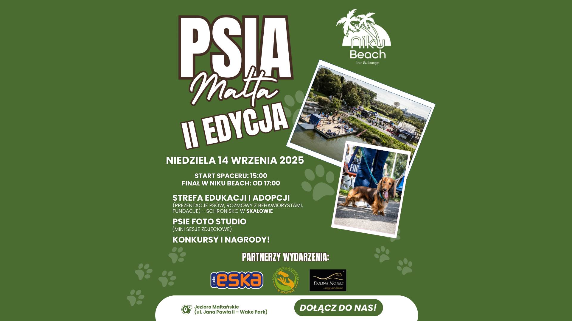 Informacje o spacerze z psami nad jeziorem Maltańskim.