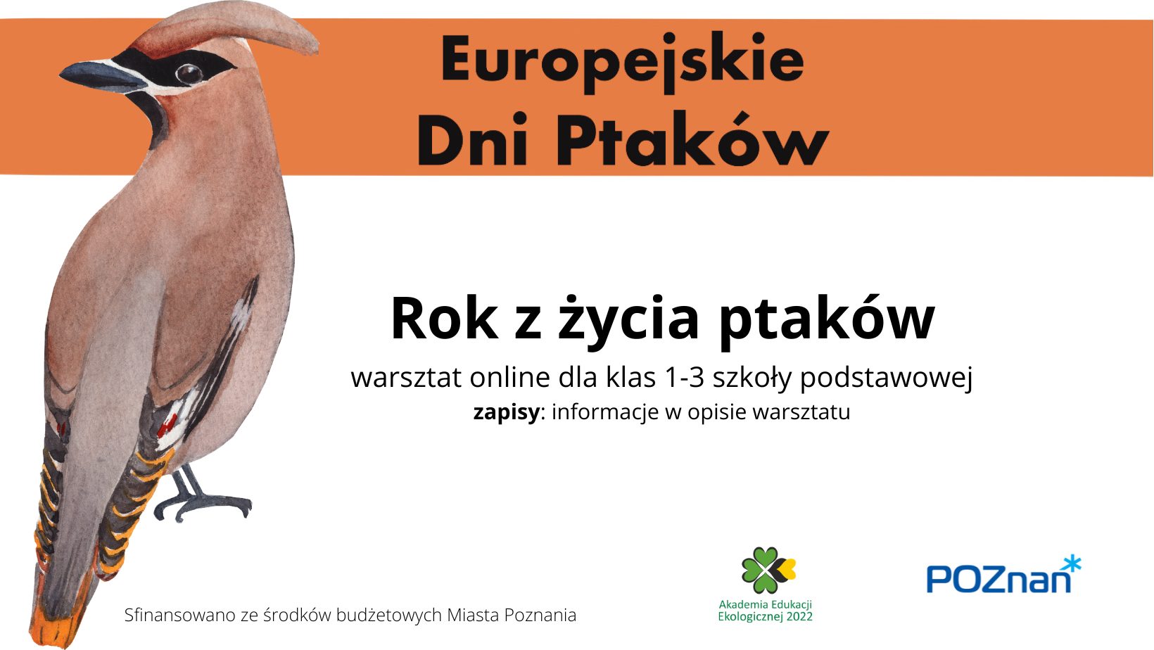 Rok z życia ptaków