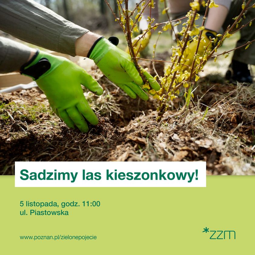 W Poznaniu powstaje las kieszonkowy