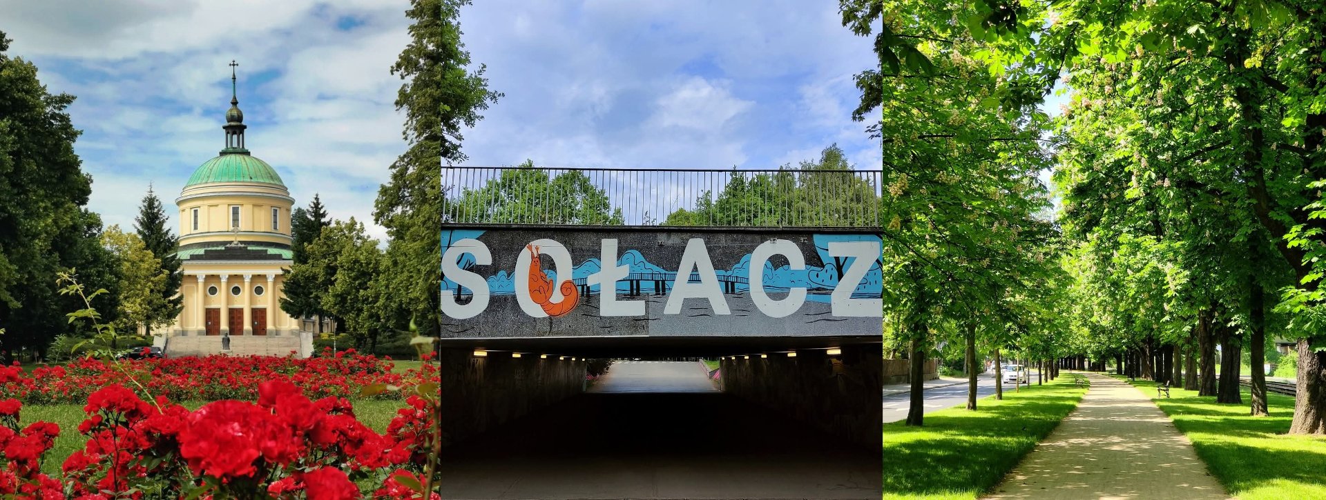 Kolaż trzech zdjęć, które przedstawiają fragmenty Sołacza, m.in. aleję kasztanowców i most z napisem "Sołacz".