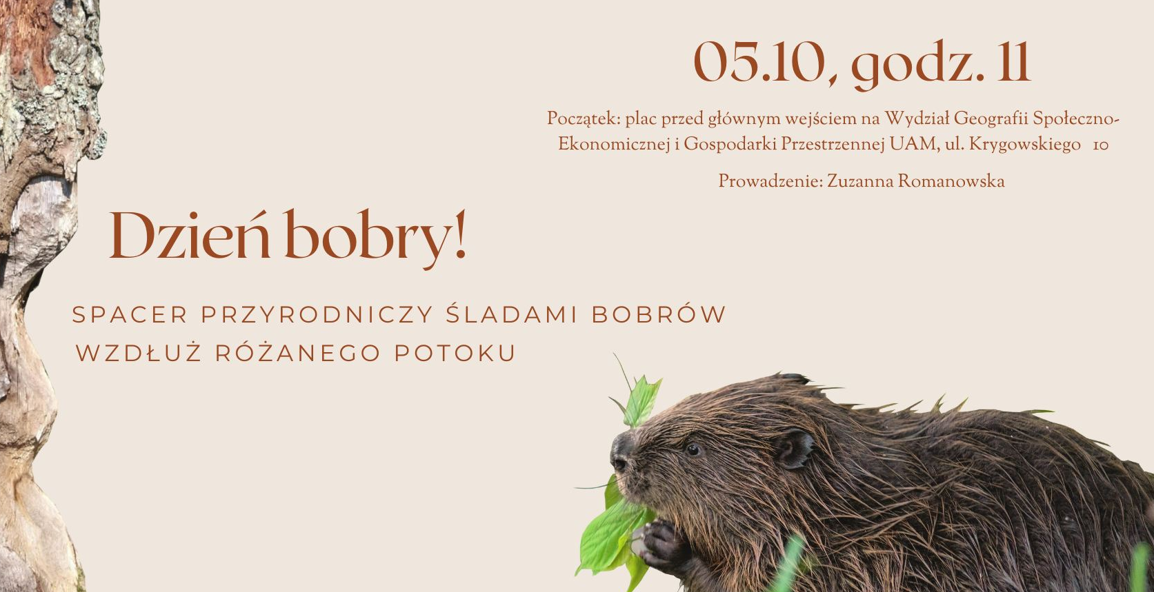 Bóbr, który trzyma w pyszczku listek, dookoła napisy informujące o wydarzeniu.