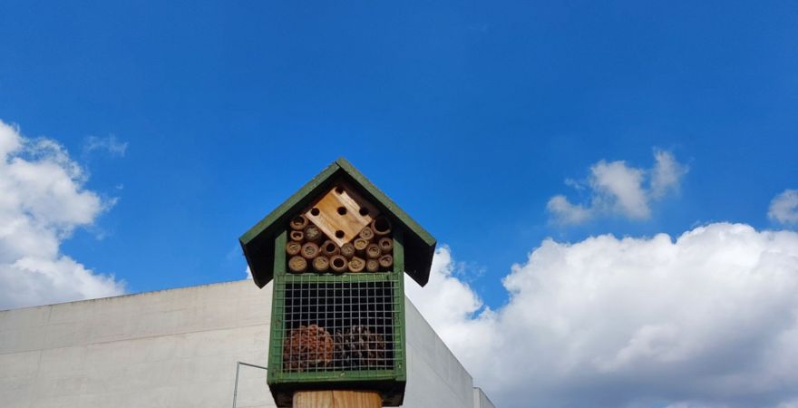 Dom dla pszczól