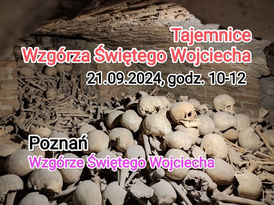 Zdjęcie przedstawia historyczne artefakty znalezione po wykopaliskach: wiele ludzkich kości.