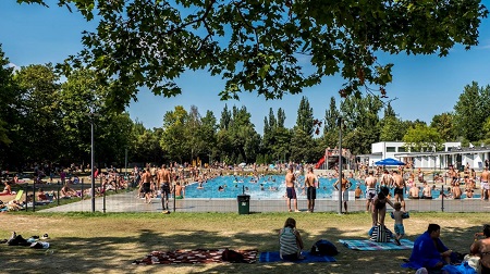 Wypoczynek na pływalni letniej: w basenie, na trawie.