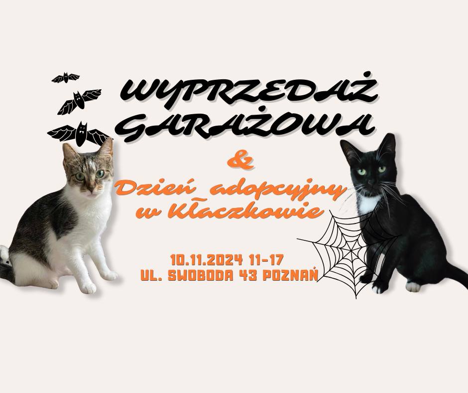 Zdjęcie to reklama garażowej wyprzedaży i wydarzenia adopcyjnego. Zawiera obraz dwóch kotów, jednego czarnego i jednego pręgowanego, oraz informacje o dacie, godzinie i lokalizacji wydarzenia. W tle widoczna jest pajęczyna i nietoperze, co prawdopodobnie ma przekazać tematykę halloweenową.