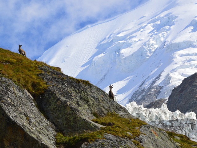 Wystawa fotograficzna Chamonix-Mont-Blanc