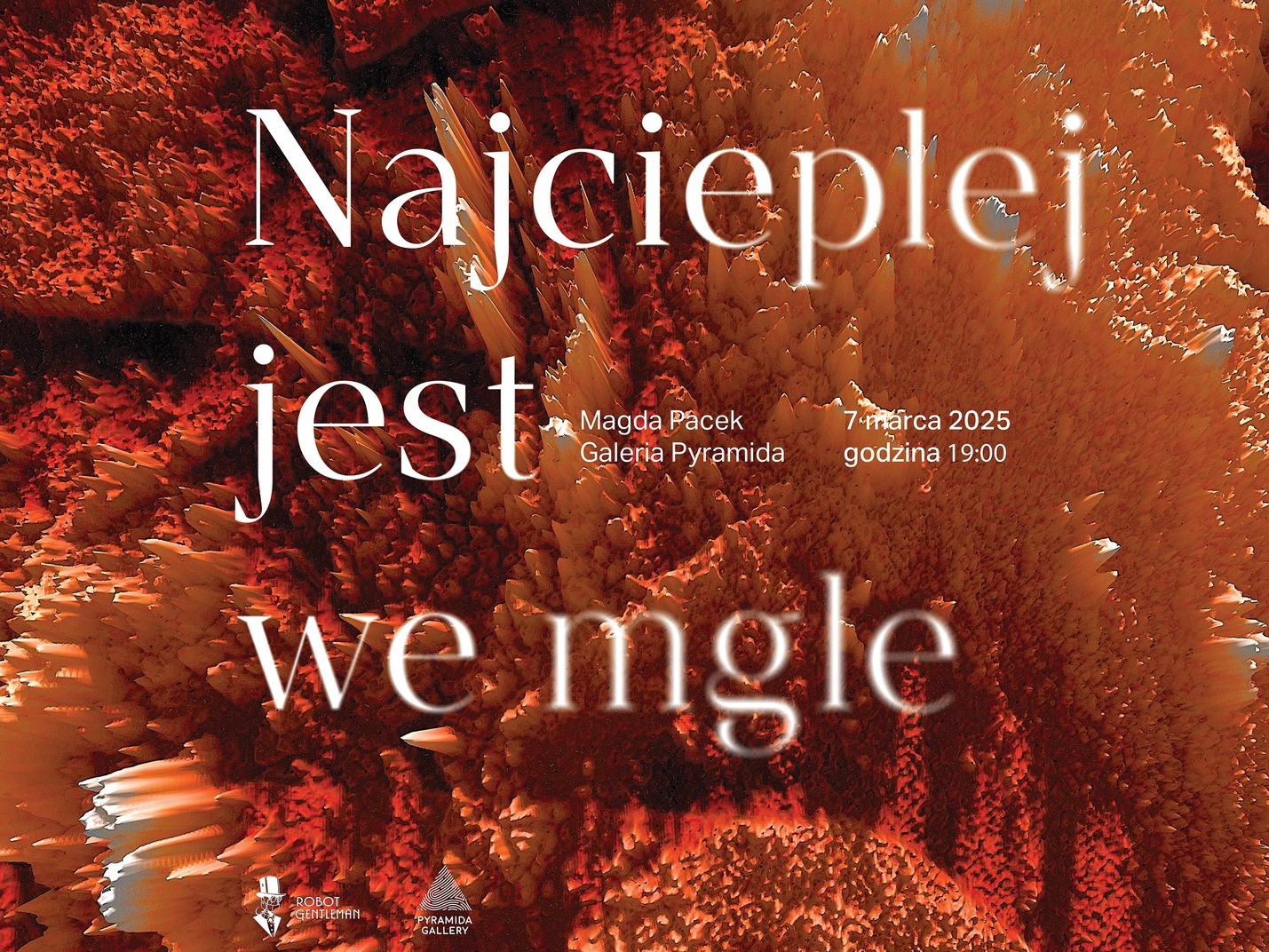 Informacje o wystawie "Najcieplej jest we mgle".