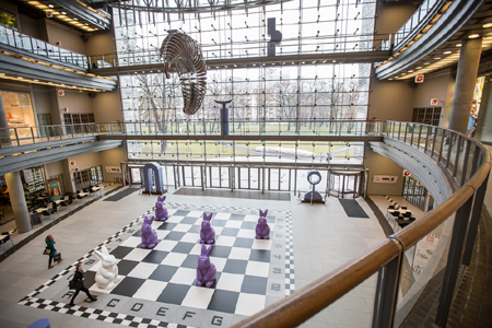 zające w Starym Browarze