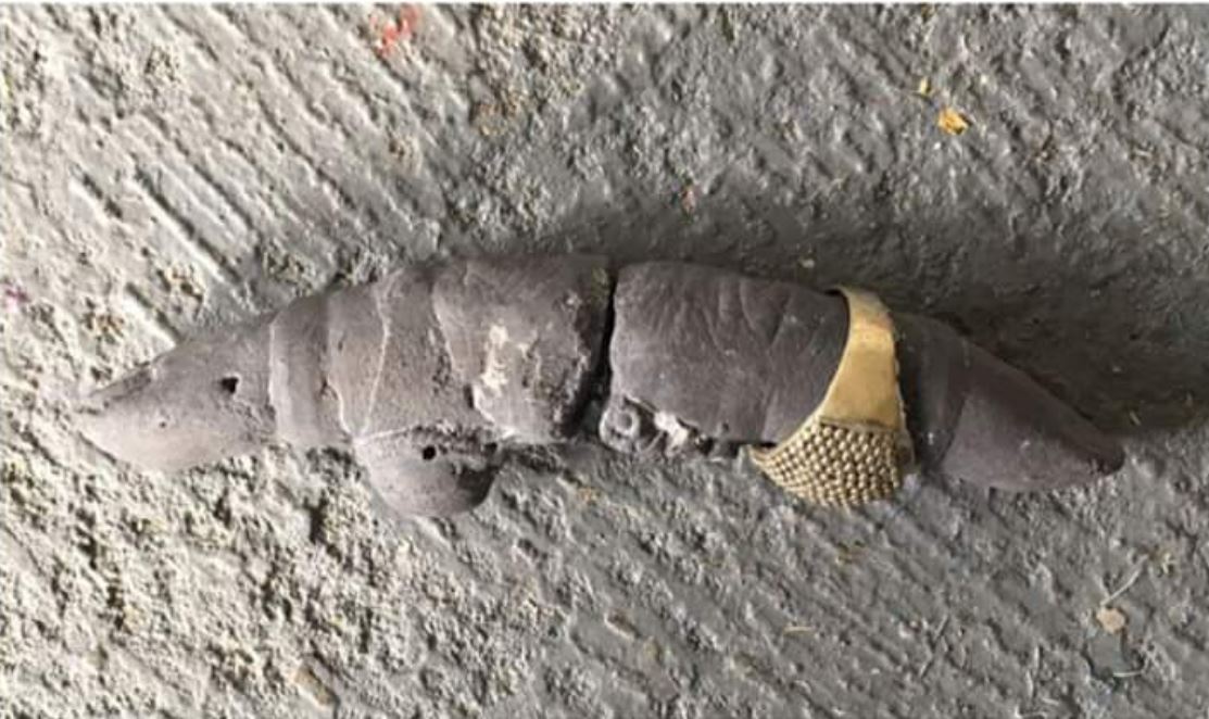 Skamieniały palec ze złotym pierścionkiem