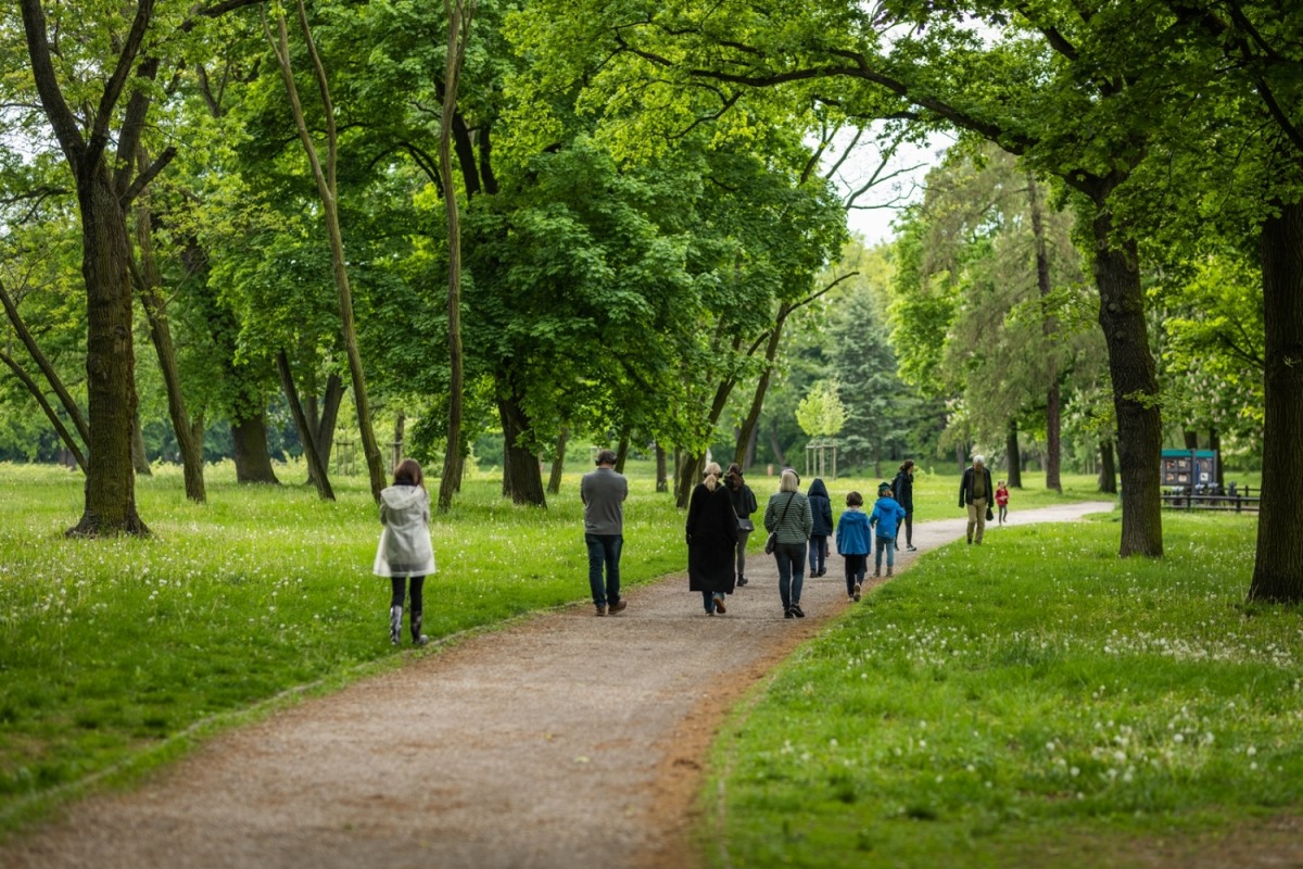 Zdjęcie w środku parku, przedstawiające grupkę ludzi idących ścieżką w parku.