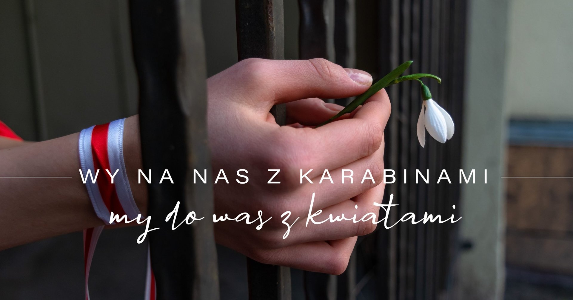 Na zdjęciu ręce z przebiśniegiem wystające zza krat. Na nadgarstku lewej ręki biało-czerwono-biała opaska.