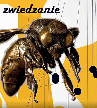 zdjęcie przestawiające pszczołę