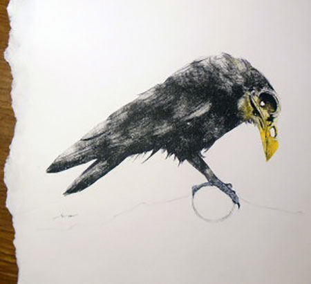 rysunek kruka