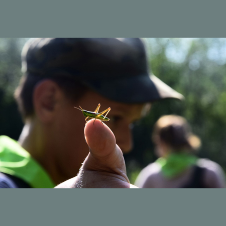 Na pierwszym planie: zielony owad siedzi na palcu. W tle głowa chłopca i jeszcze jedna sylwetka.