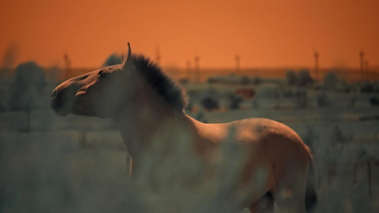 Na zdjęciu jedna z prac na wystawie.