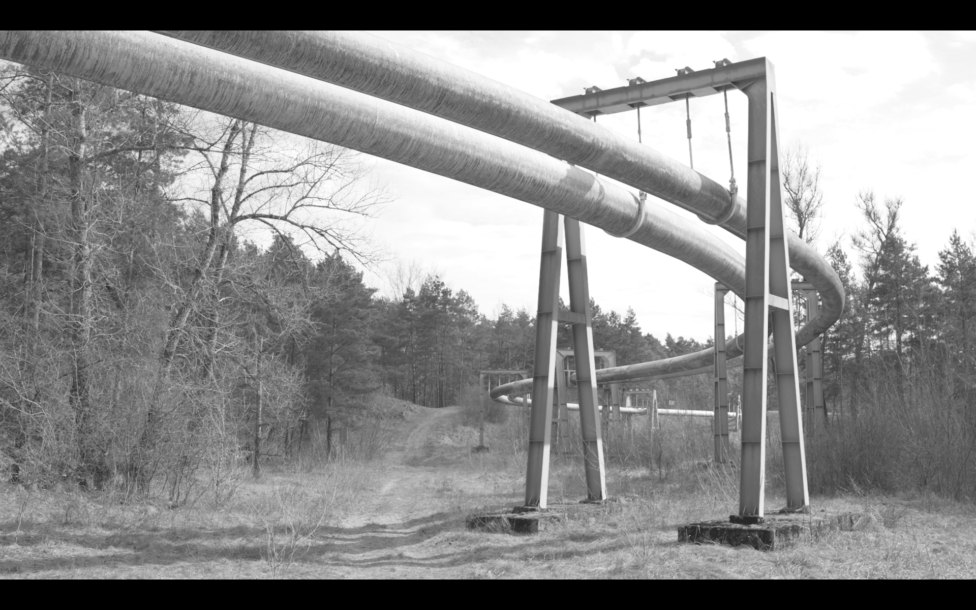 Na zdjęciu fragment wystawy.