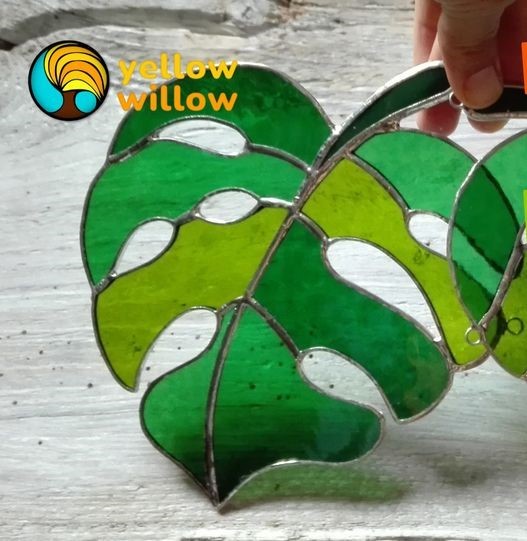 zielony, sercowaty liść Monstery w postaci witrażu