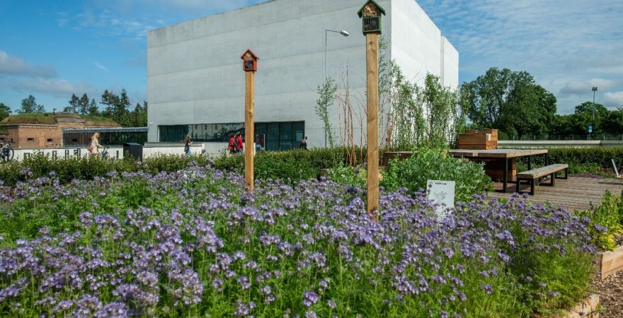 Na zdjęciu łąka przed Bramą Poznania.