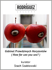 zdjęcie Agnieszka Grodzińska, Apple View, 2016