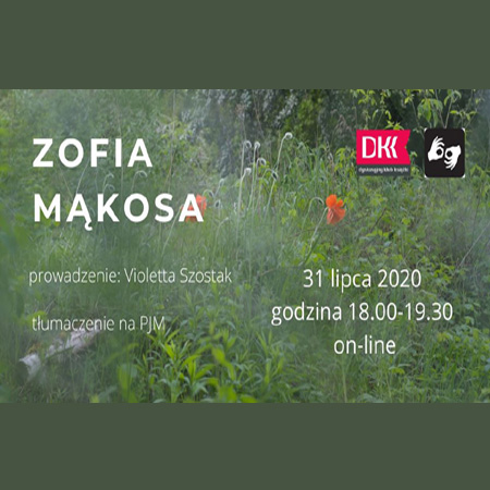 zielona łąka, dwa czerwone maki, wznosi się mgła, fotografia A. Sabiłło