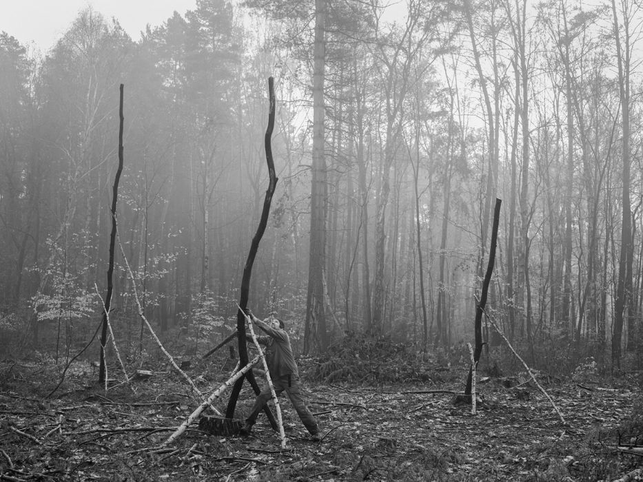 Czarno-białe zdjęcie lasu z wyciętymi drzewami. Mężczyzna przytrzymuje pień drzewa. - grafika artykułu